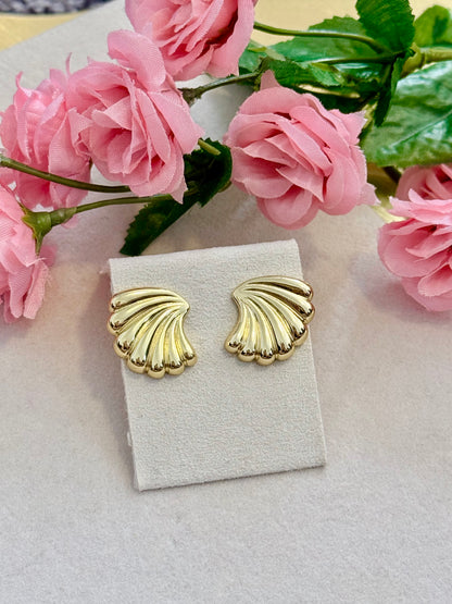 Seashell Earrings