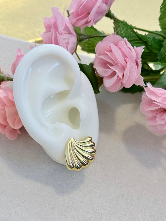 Seashell Earrings