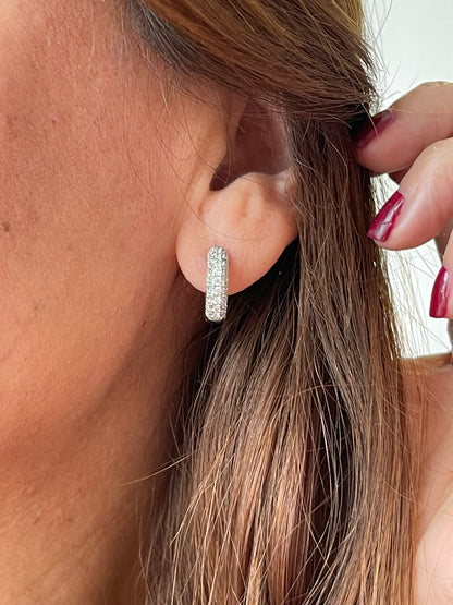 Heart Pendant Earrings